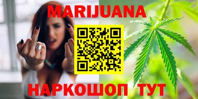сатива Моздок