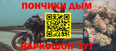 сатива Моздок